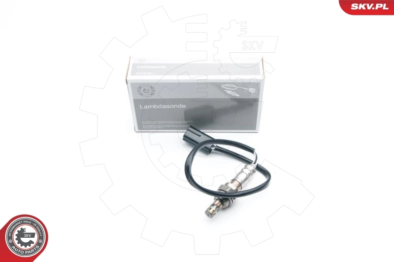 Oxygen Sensor